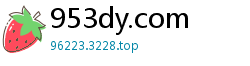 953dy.com